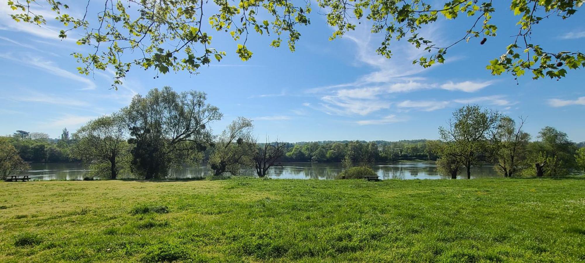 Maison En Bord De Saone. * Belleville-sur-Saône